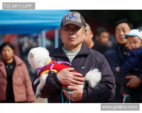 足球明星与爱犬共踢足球的趣味视频展现温馨时刻与运动魅力