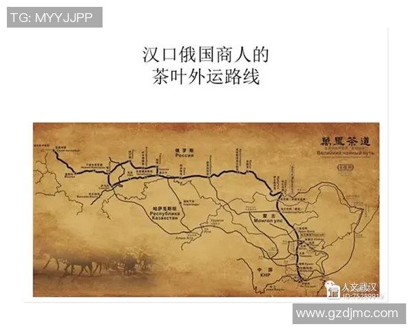 南京足球队中路突破分析：战术执行与效果评估的深度探讨